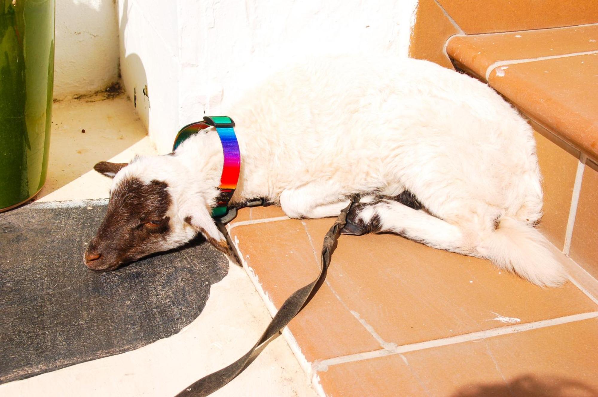 Casa Rural Ga7Colores Only Adult Montana Blanca Ngoại thất bức ảnh